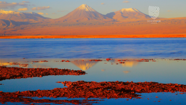 LAGUNA CEJAR + OLHOS DO SALAR + LAGOA TEBINQUINCHE